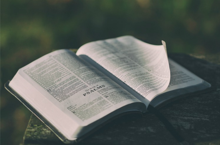Не вірте чуткам: мормони дійсно цінують Біблію