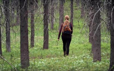 Дивіться: аналогія старійшини Ухтдорфа «прогулянка лісом» оживає у новому церковному відео